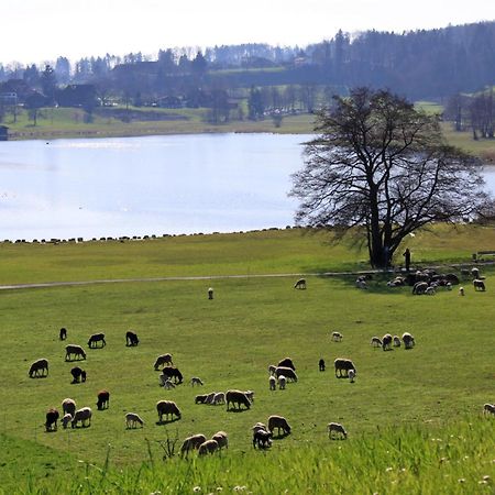 Im Roeseligarten Wolfhausen Esterno foto