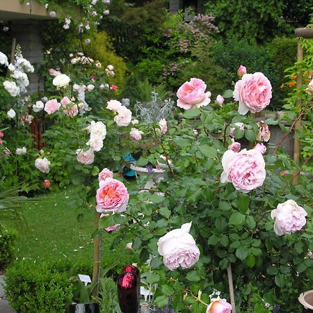 Im Roeseligarten Wolfhausen Esterno foto