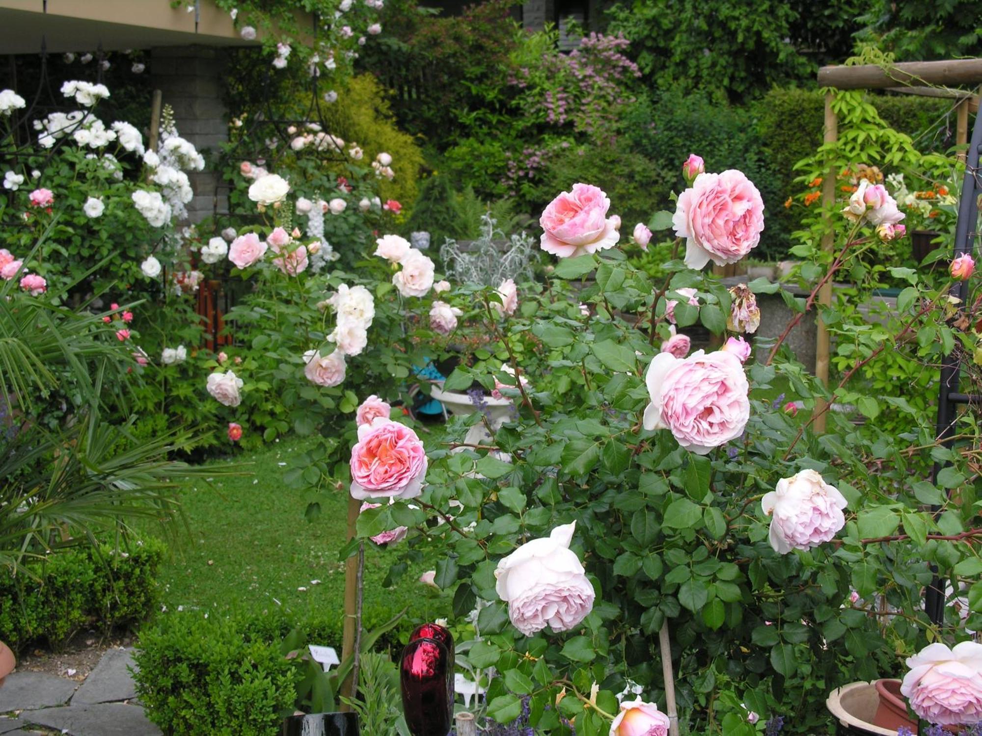 Im Roeseligarten Wolfhausen Esterno foto